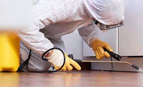 Real Estate Pest Inspections in Larch Way, WA